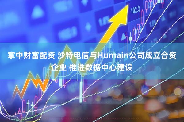 掌中财富配资 沙特电信与Humain公司成立合资企业 推进数据中心建设